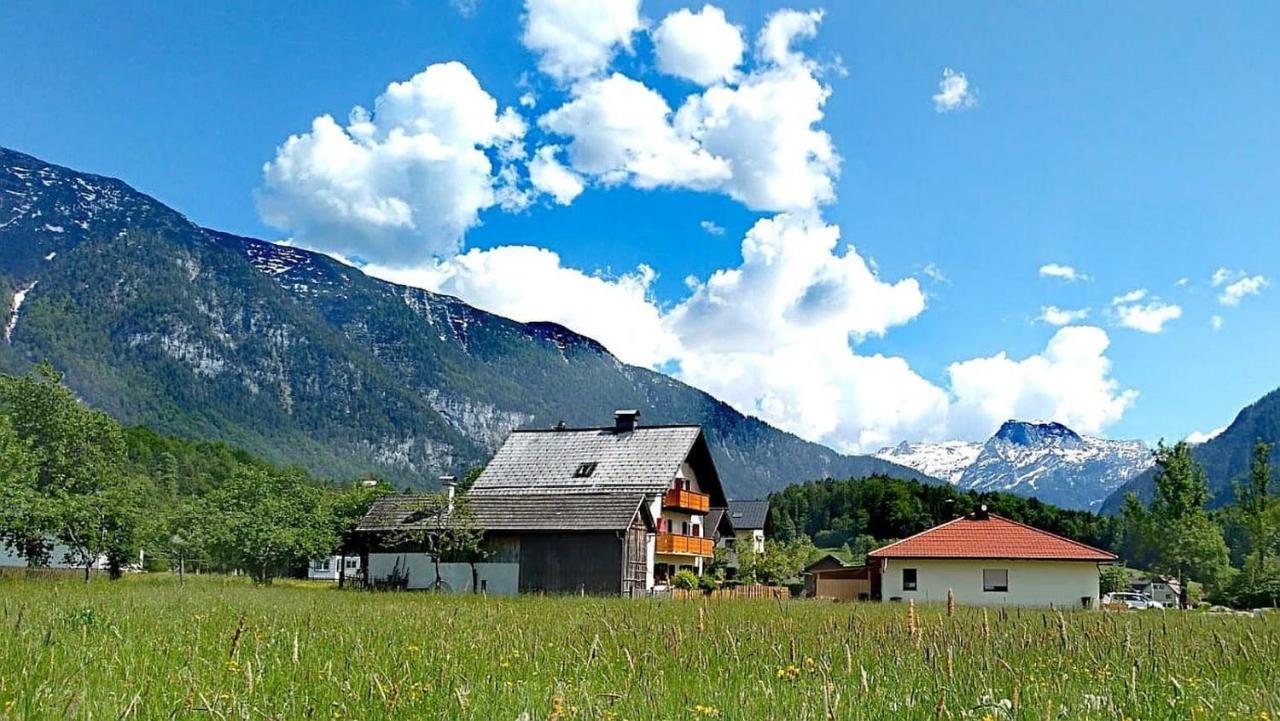 Appartamento Haus Moni Bad Goisern Esterno foto