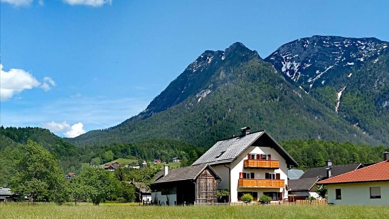Appartamento Haus Moni Bad Goisern Esterno foto
